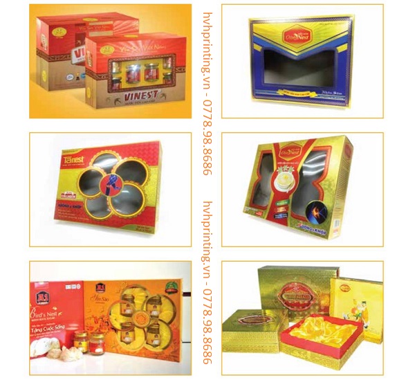 in hộp dược phẩm - GOLDEN BOX