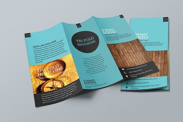 mẫu Brochure đẹp, sáng tạo