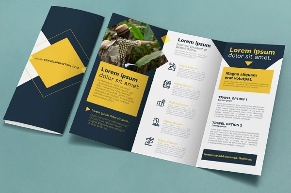 mẫu Brochure đẹp