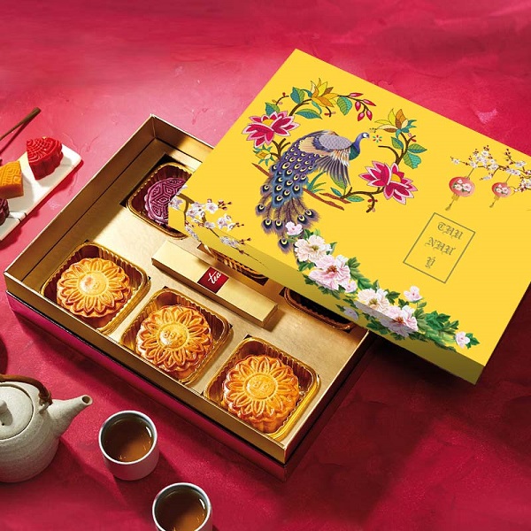 Mẫu hộp "Thiên nhiên hòa quyện"