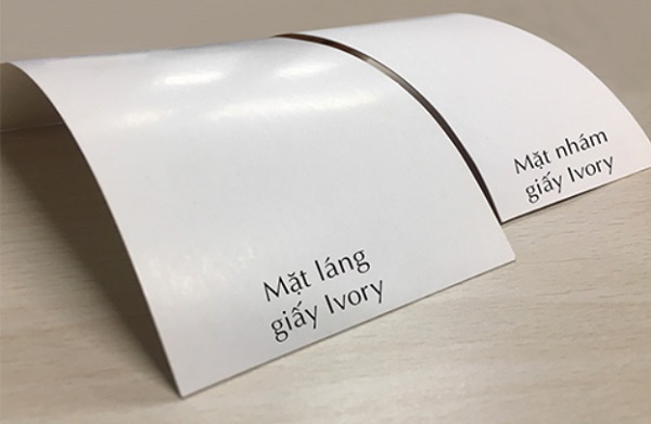 Giấy Ivory là gì?