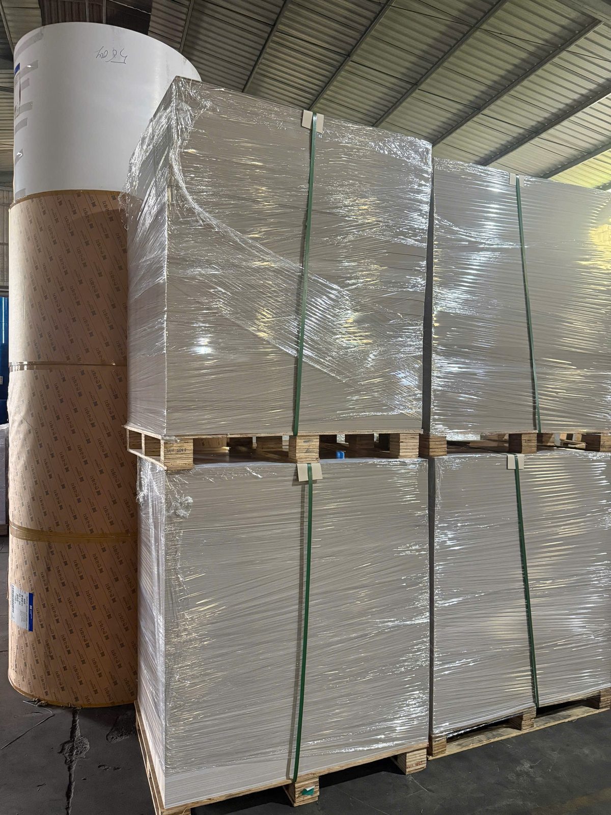 Kho giấy cuộn nguyên liệu nhập trực tiếp của xưởng in hộp đựng giày